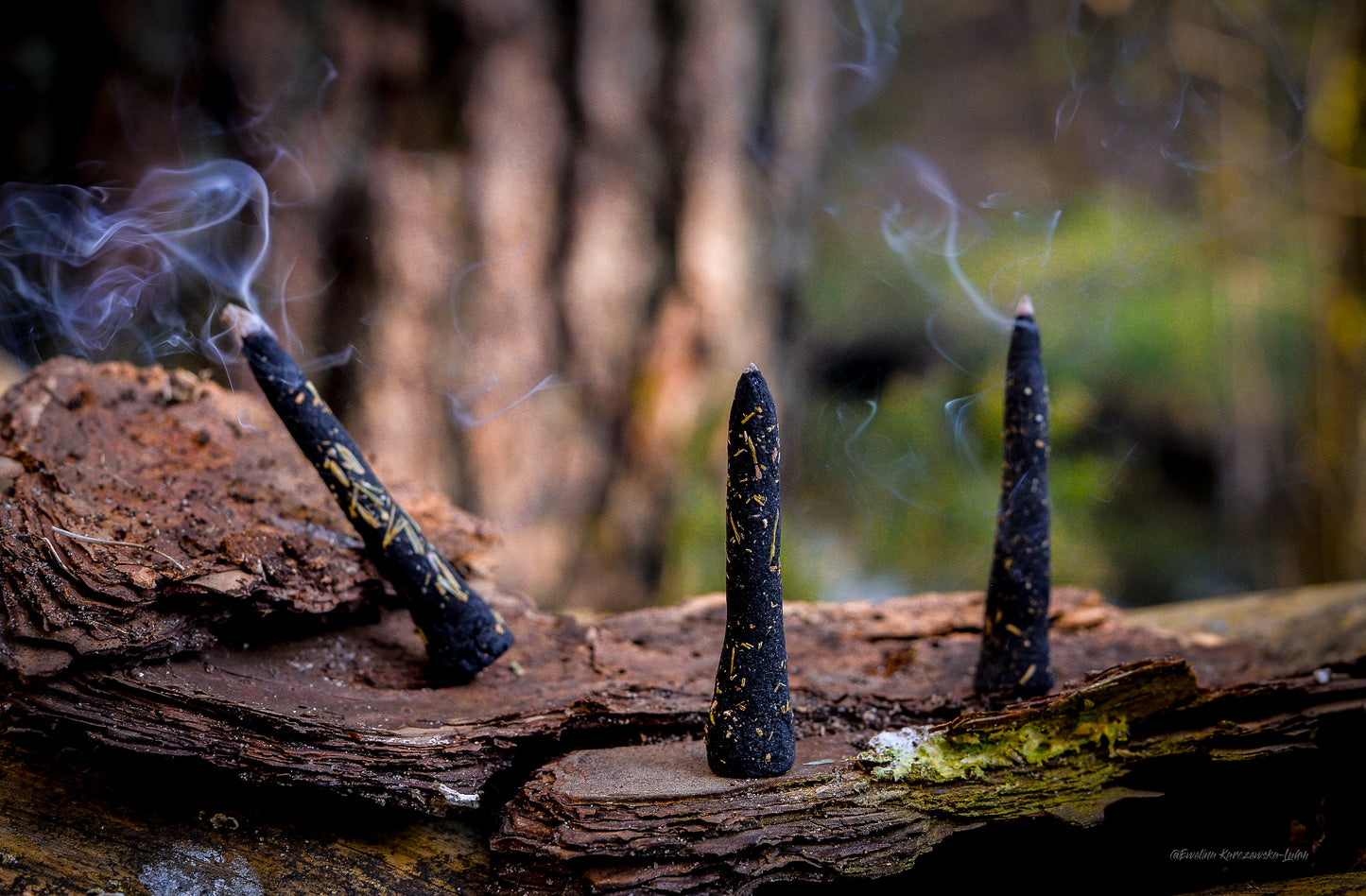 ,,Ceremonia Zapachu'' kompozycja 9 stożków