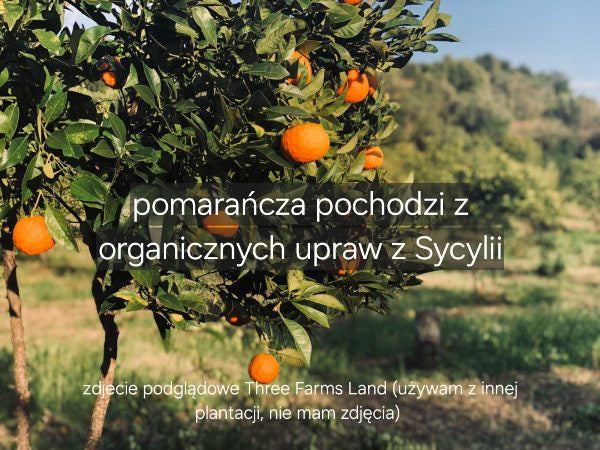 3 szt. Eter - anyż gwiazdkowy, drewno cedrowe, pomarańcz
