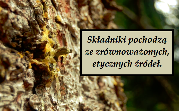 3 szt. ,,Świątynia'' palo santo, biały kopal meksykański, lawenda.